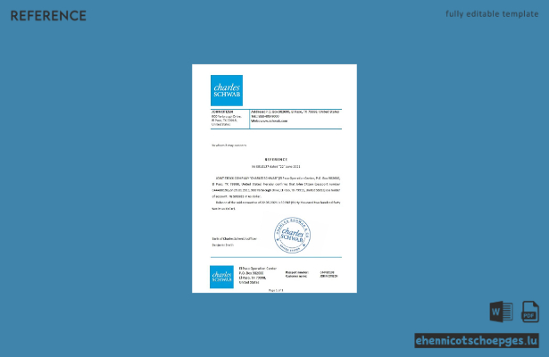 USA Charles Schwab Referenzmuster-Vorschau